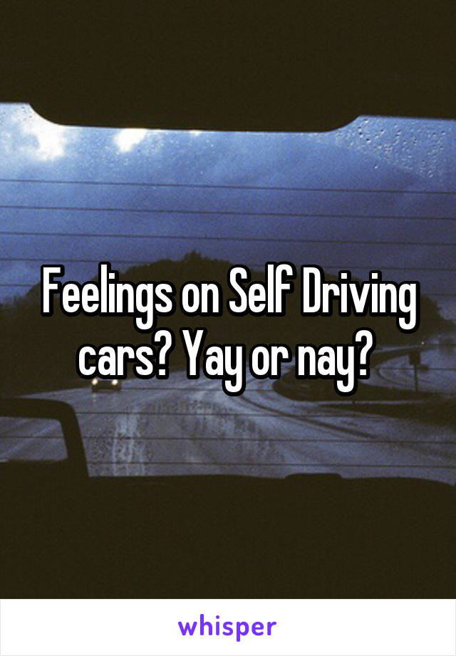 Feelings on Self Driving cars? Yay or nay? 