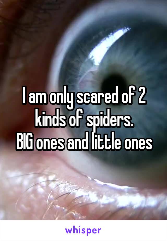 I am only scared of 2 kinds of spiders.
BIG ones and little ones