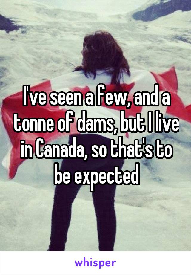 I've seen a few, and a tonne of dams, but I live in Canada, so that's to be expected