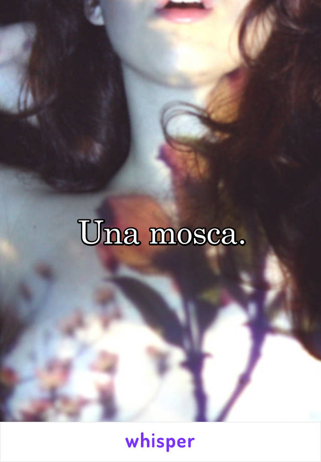 Una mosca.