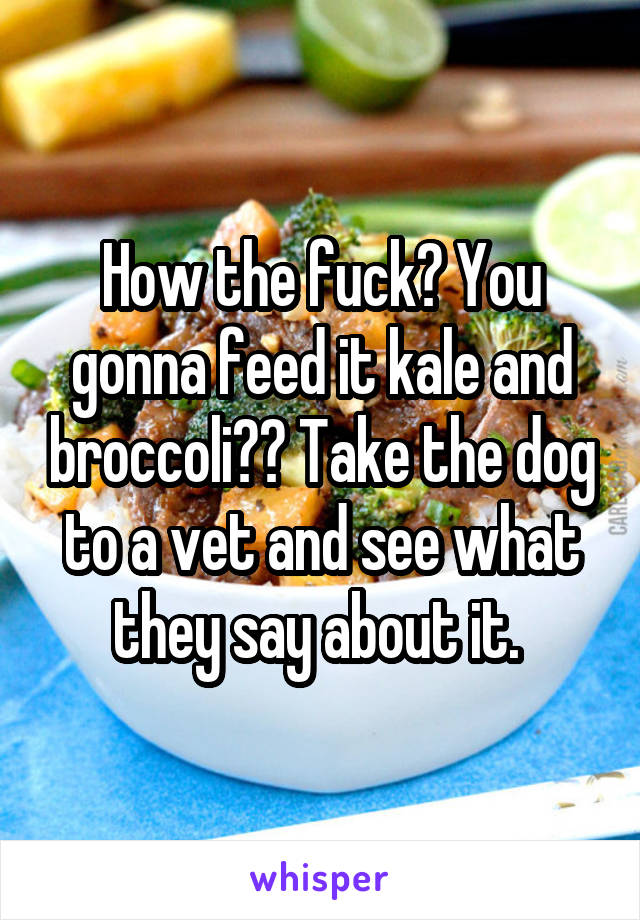 How the fuck? You gonna feed it kale and broccoli?? Take the dog to a vet and see what they say about it. 