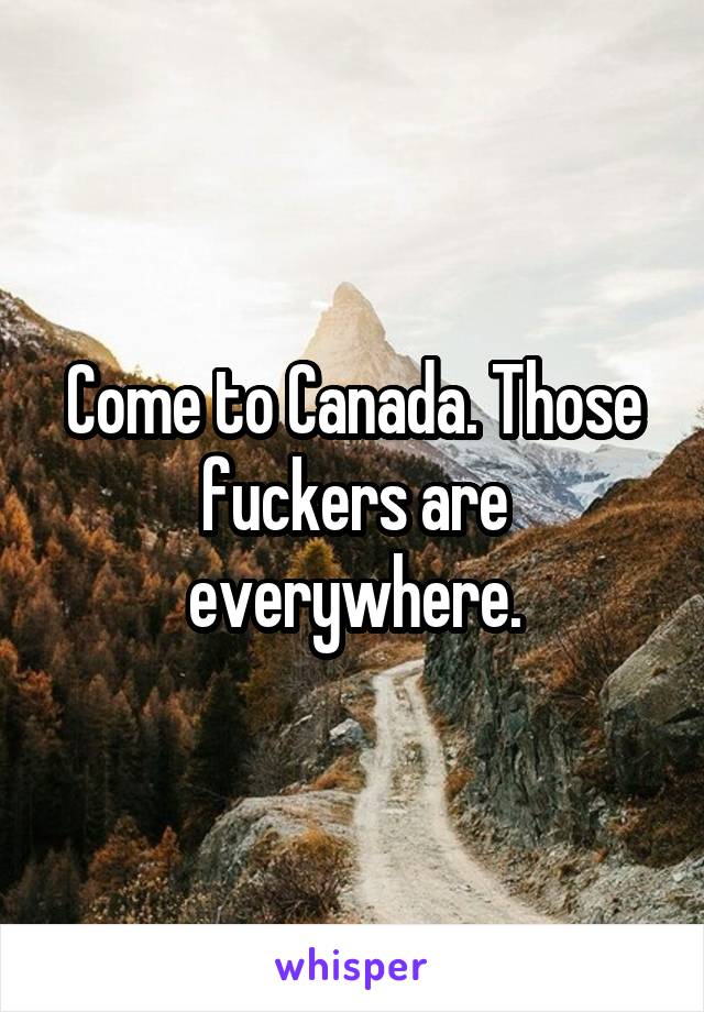 Come to Canada. Those fuckers are everywhere.