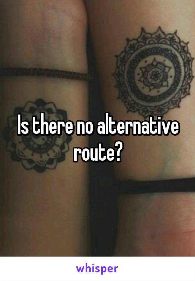 Is there no alternative route?