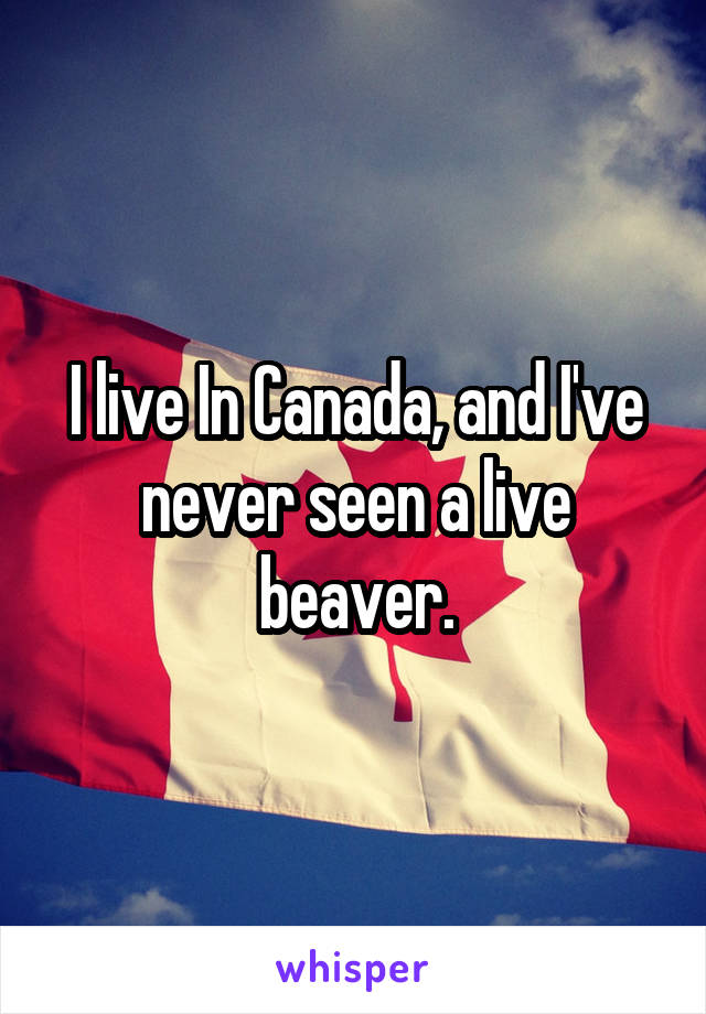 I live In Canada, and I've never seen a live beaver.
