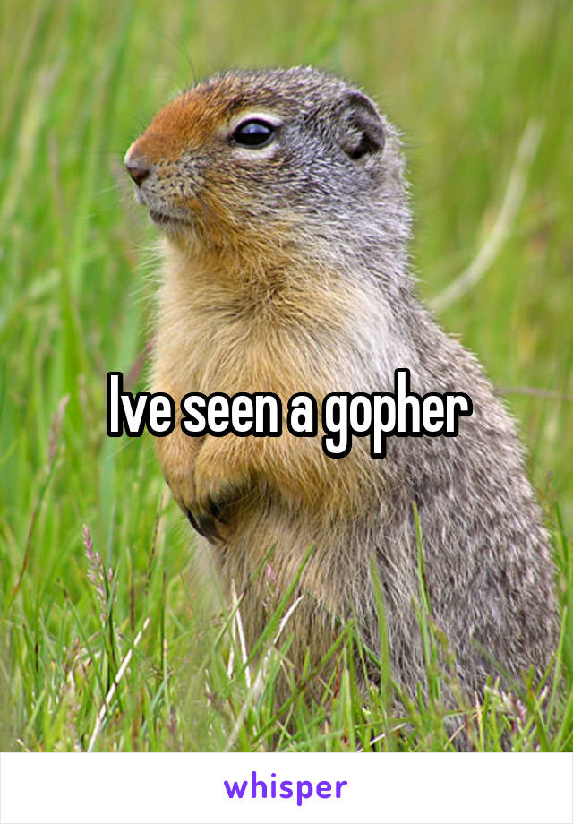 Ive seen a gopher