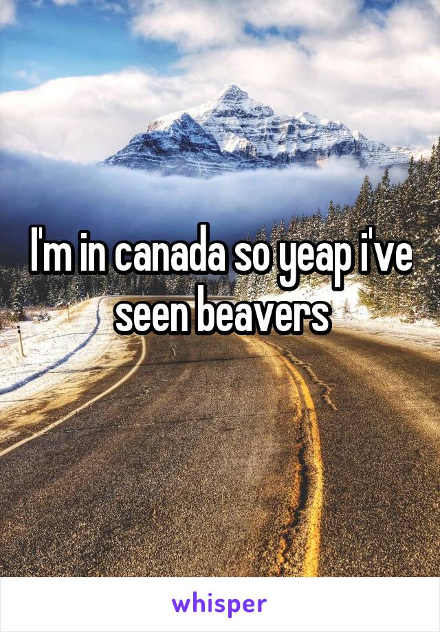 I'm in canada so yeap i've seen beavers
