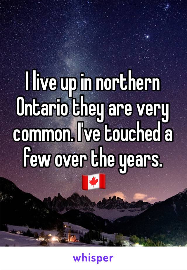 I live up in northern Ontario they are very common. I've touched a few over the years.
🇨🇦
