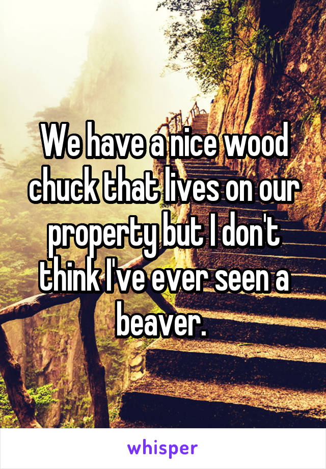 We have a nice wood chuck that lives on our property but I don't think I've ever seen a beaver. 