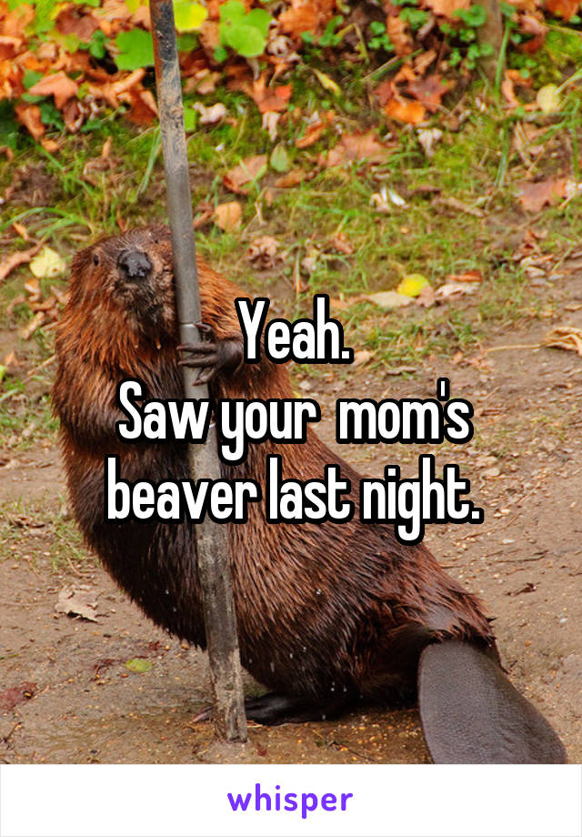 Yeah.
Saw your  mom's beaver last night.