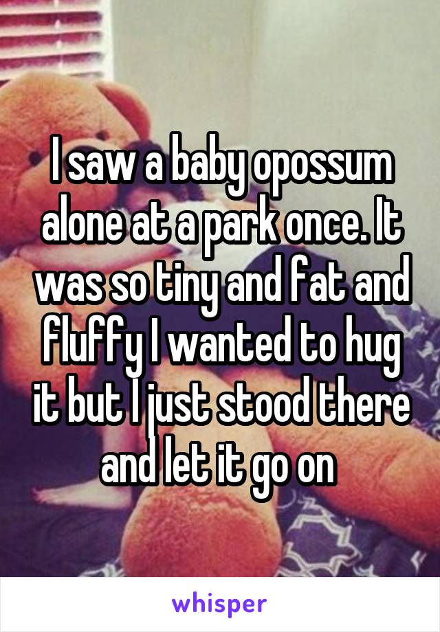 I saw a baby opossum alone at a park once. It was so tiny and fat and fluffy I wanted to hug it but I just stood there and let it go on 