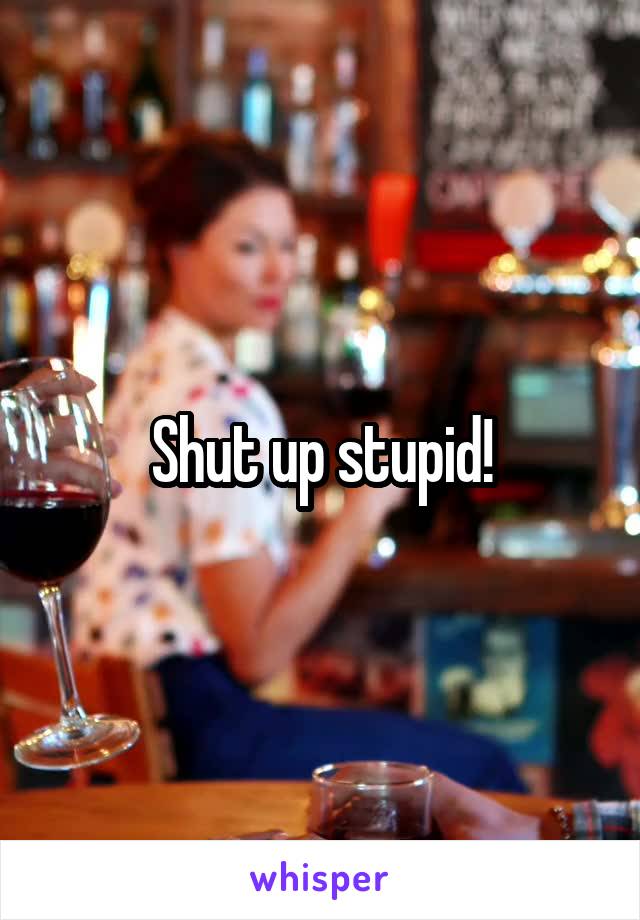 Shut up stupid!