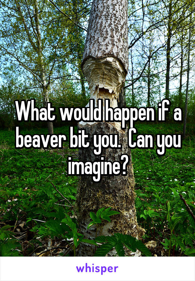 What would happen if a beaver bit you.  Can you imagine?
