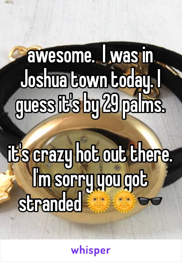 awesome.  I was in Joshua town today. I guess it's by 29 palms. 

it's crazy hot out there. I'm sorry you got stranded 🌞🌞🕶