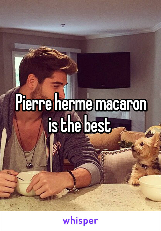 Pierre herme macaron is the best 