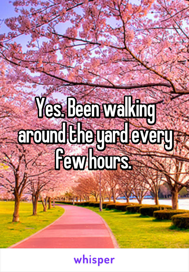 Yes. Been walking around the yard every few hours. 