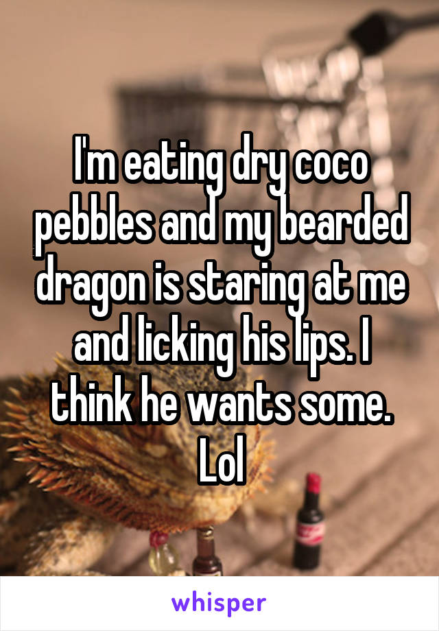 I'm eating dry coco pebbles and my bearded dragon is staring at me and licking his lips. I think he wants some. Lol