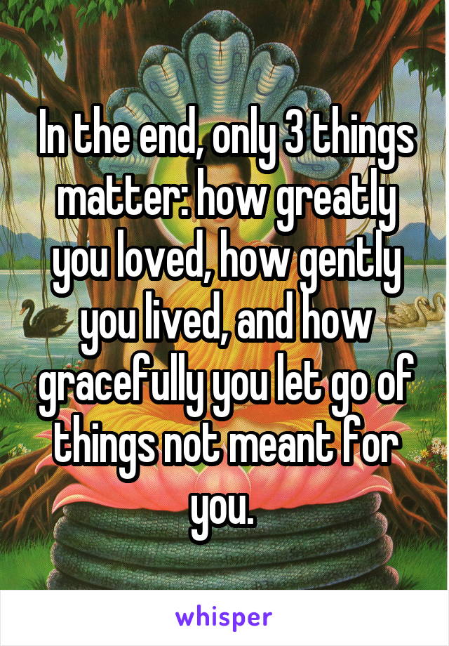 In the end, only 3 things matter: how greatly you loved, how gently you lived, and how gracefully you let go of things not meant for you. 