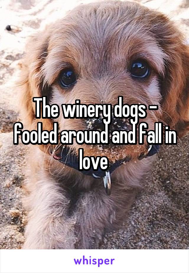 The winery dogs - fooled around and fall in love 