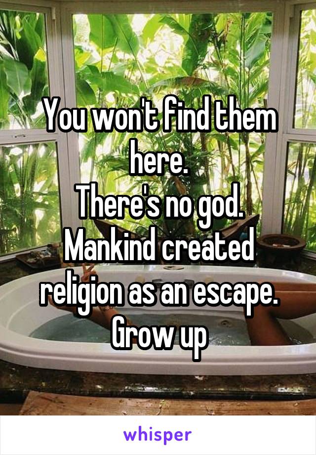 You won't find them here.
There's no god.
Mankind created religion as an escape.
Grow up