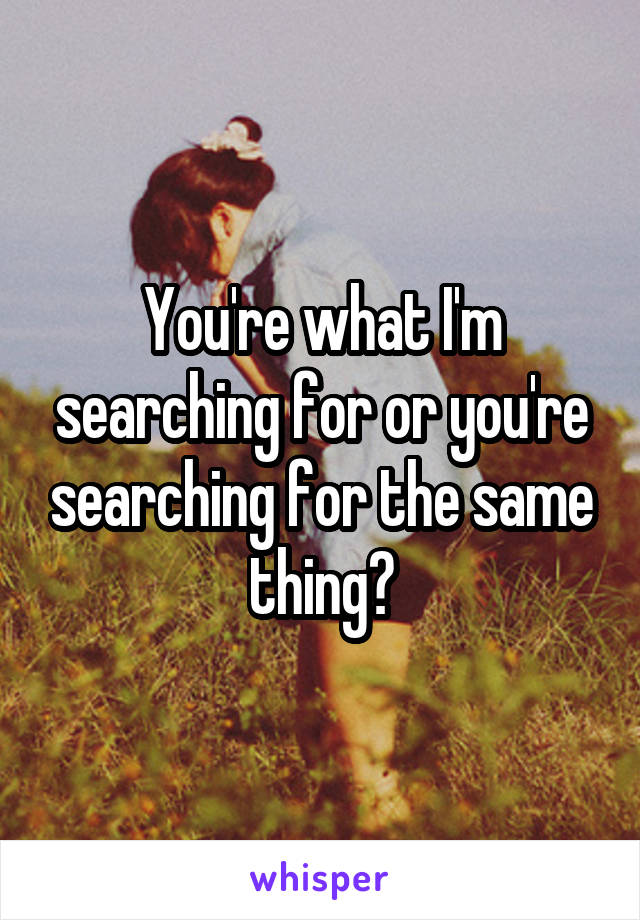 You're what I'm searching for or you're searching for the same thing?