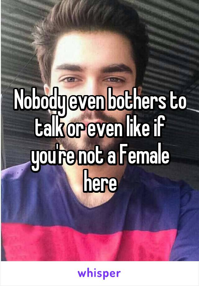 Nobody even bothers to talk or even like if you're not a Female here