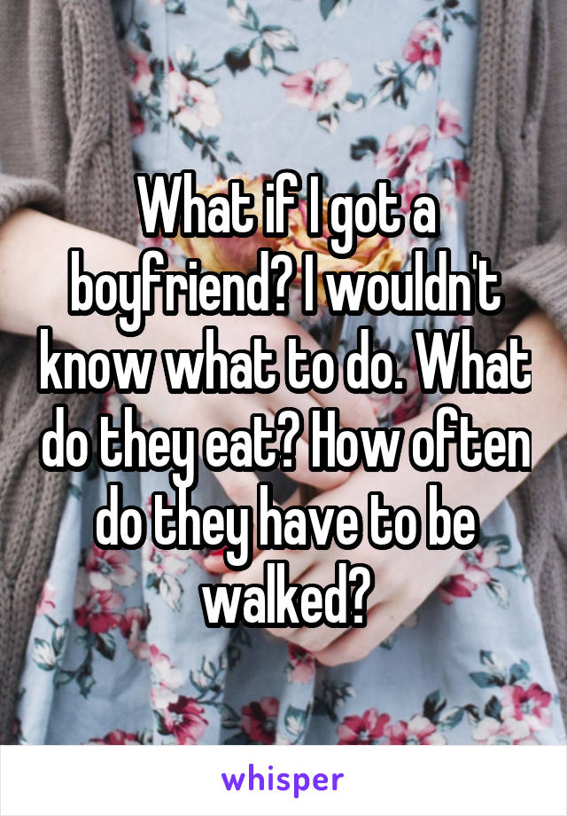 What if I got a boyfriend? I wouldn't know what to do. What do they eat? How often do they have to be walked?