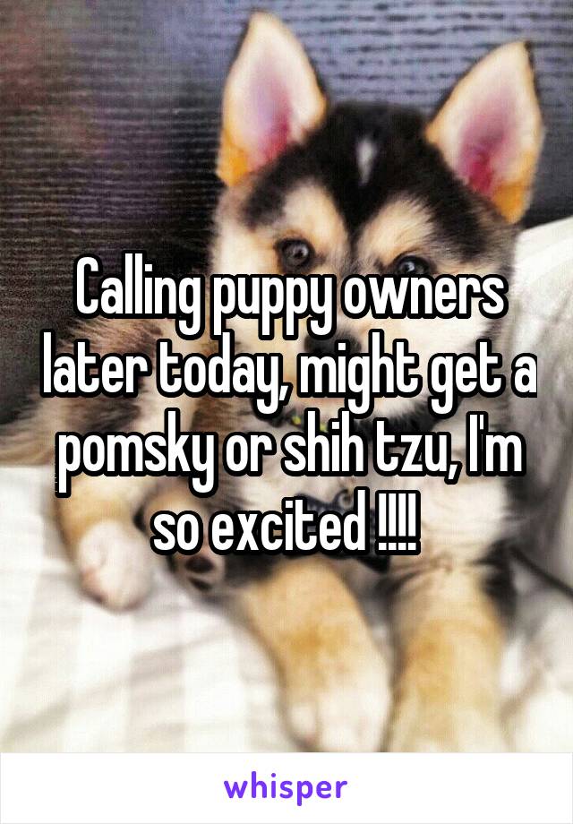 Calling puppy owners later today, might get a pomsky or shih tzu, I'm so excited !!!! 
