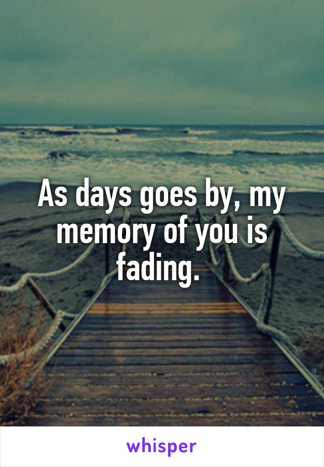 As days goes by, my memory of you is fading. 