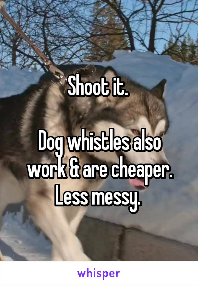 Shoot it. 

Dog whistles also work & are cheaper. Less messy. 