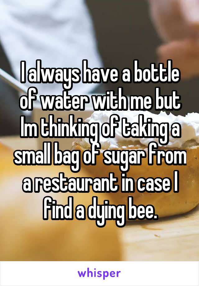 I always have a bottle of water with me but Im thinking of taking a small bag of sugar from a restaurant in case I find a dying bee.