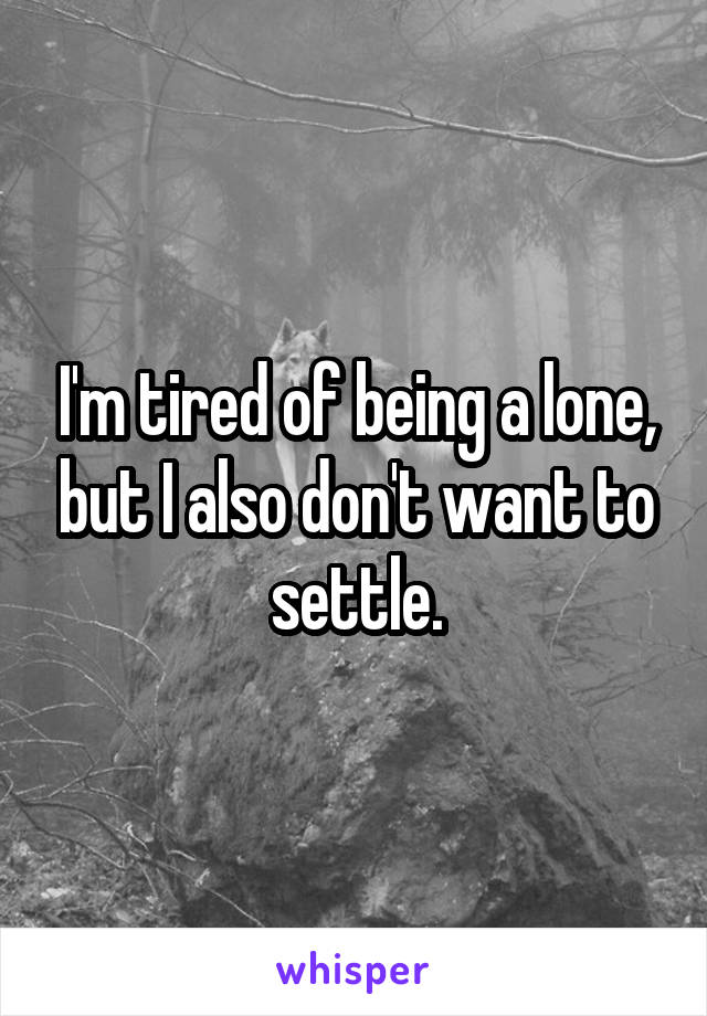 I'm tired of being a lone, but I also don't want to settle.