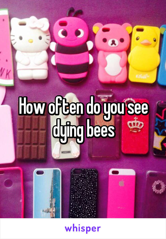 How often do you see dying bees