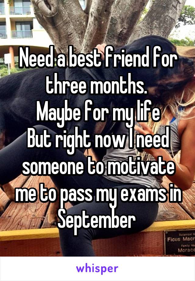 Need a best friend for three months. 
Maybe for my life
But right now I need someone to motivate me to pass my exams in September 