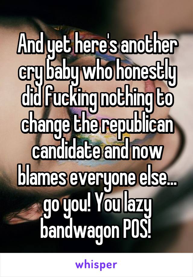 And yet here's another cry baby who honestly did fucking nothing to change the republican candidate and now blames everyone else... go you! You lazy bandwagon POS! 