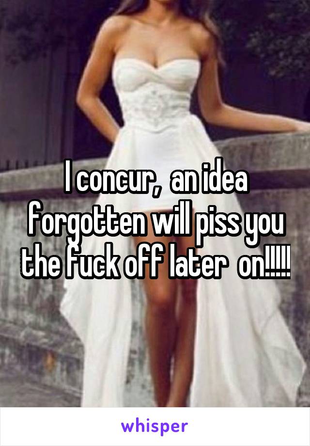 I concur,  an idea forgotten will piss you the fuck off later  on!!!!!