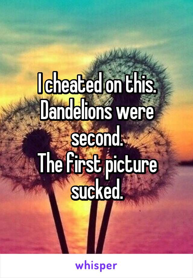 I cheated on this.
Dandelions were second.
The first picture sucked.