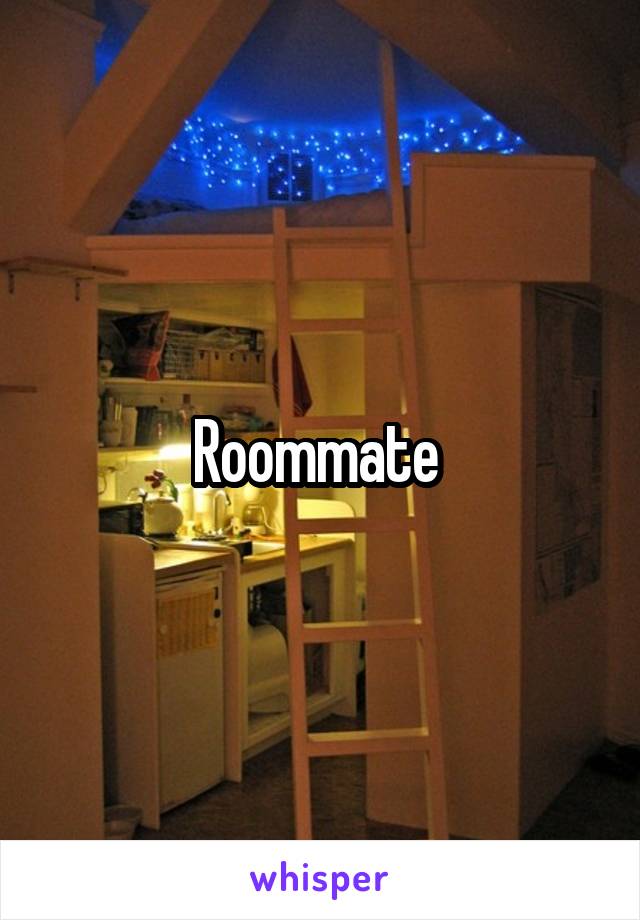 Roommate 