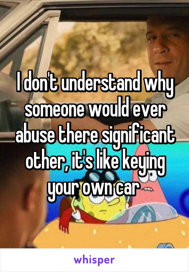 I don't understand why someone would ever abuse there significant other, it's like keying your own car 