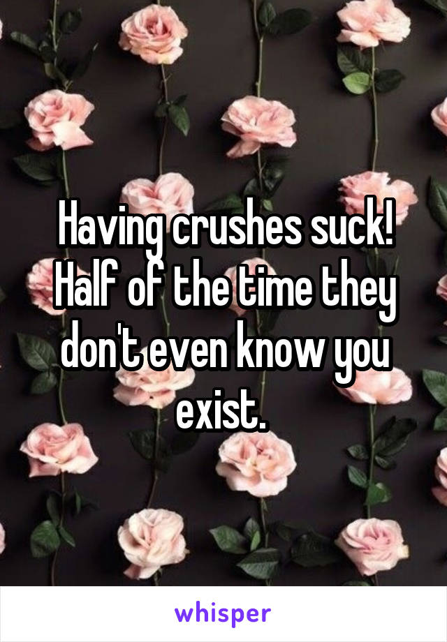 Having crushes suck! Half of the time they don't even know you exist. 
