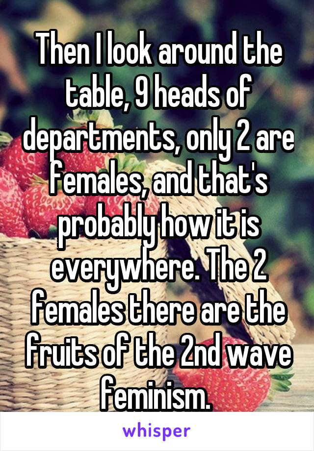 Then I look around the table, 9 heads of departments, only 2 are females, and that's probably how it is everywhere. The 2 females there are the fruits of the 2nd wave feminism. 