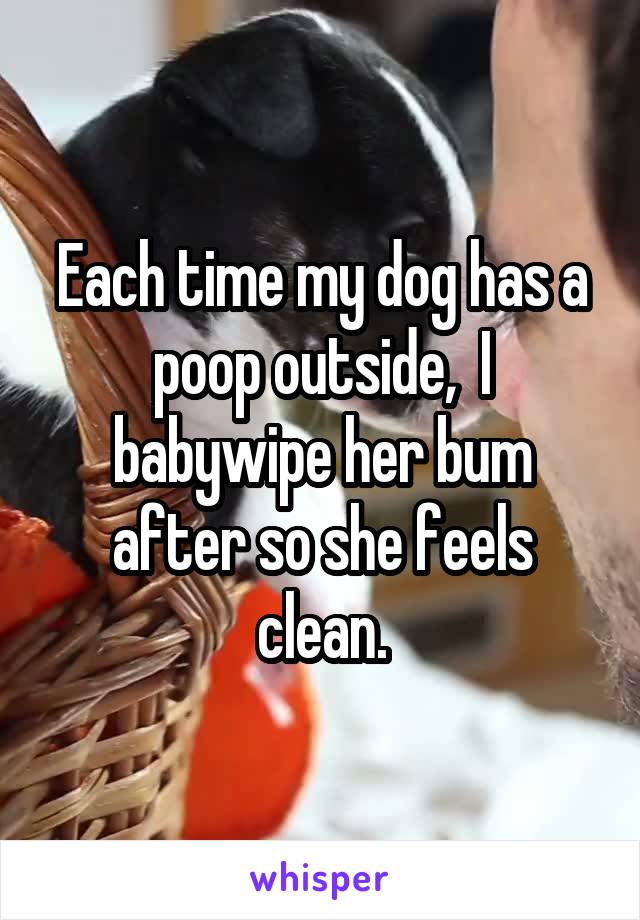 Each time my dog has a poop outside,  I babywipe her bum after so she feels clean.