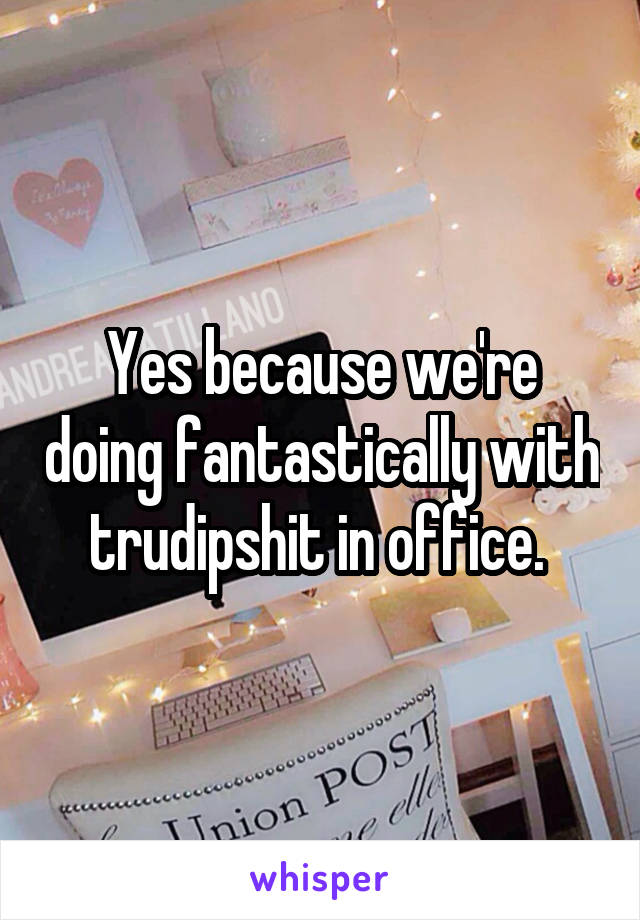 Yes because we're doing fantastically with trudipshit in office. 