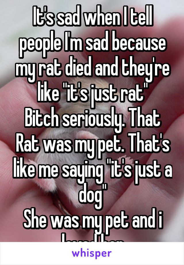It's sad when I tell people I'm sad because my rat died and they're like "it's just rat"
Bitch seriously. That Rat was my pet. That's like me saying "it's just a dog"
She was my pet and i loved her
