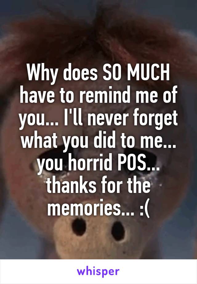 Why does SO MUCH have to remind me of you... I'll never forget what you did to me... you horrid POS... thanks for the memories... :(