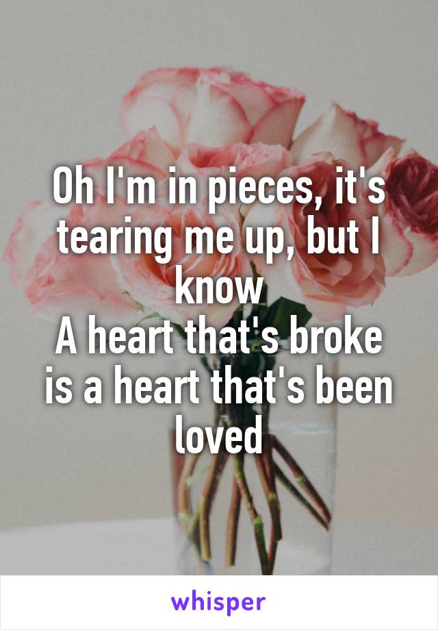 Oh I'm in pieces, it's tearing me up, but I know
A heart that's broke is a heart that's been loved
