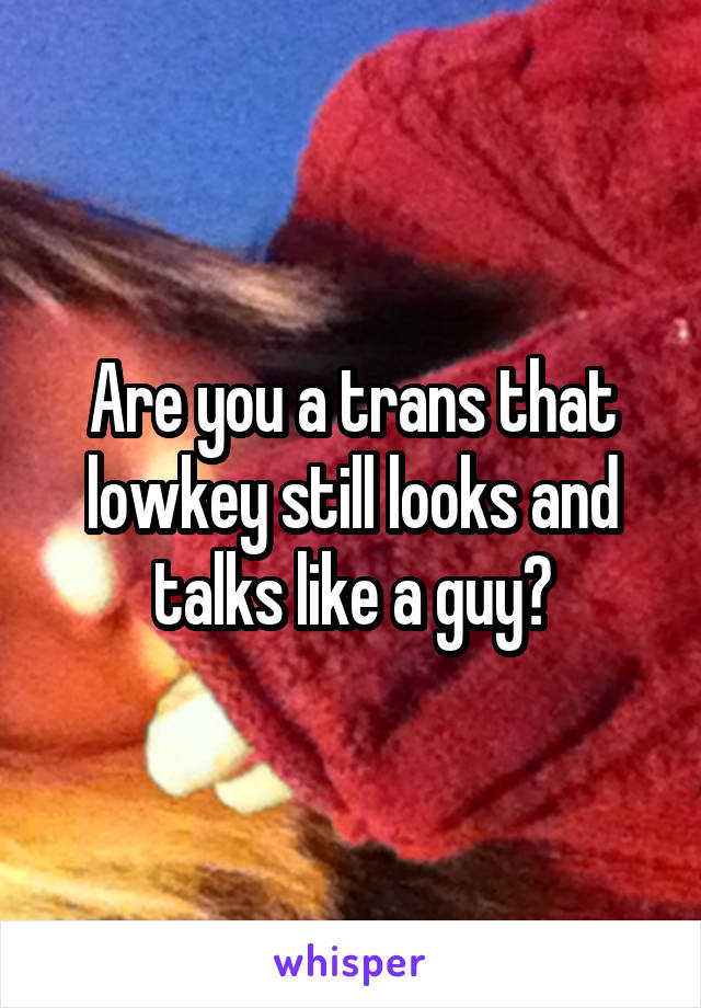 Are you a trans that lowkey still looks and talks like a guy?
