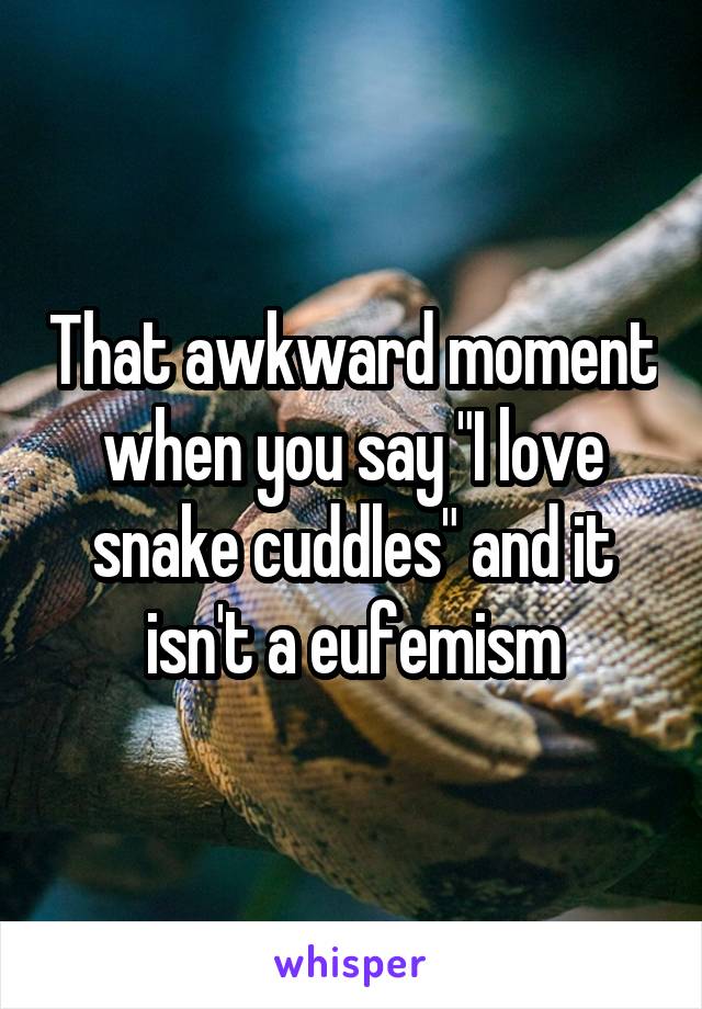 That awkward moment when you say "I love snake cuddles" and it isn't a eufemism