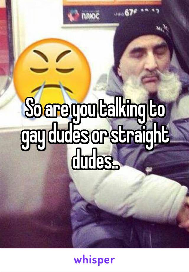 So are you talking to gay dudes or straight dudes..