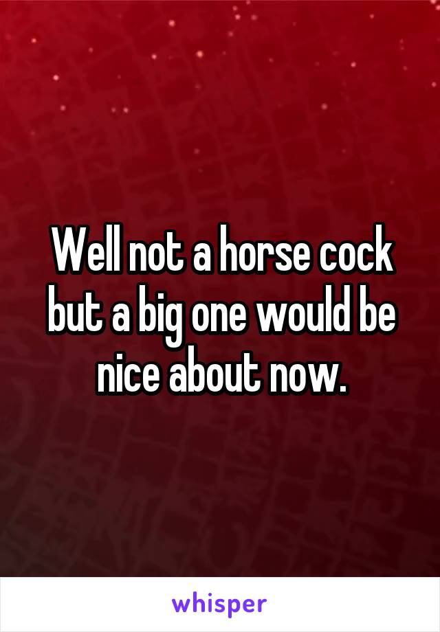 Well not a horse cock but a big one would be nice about now.