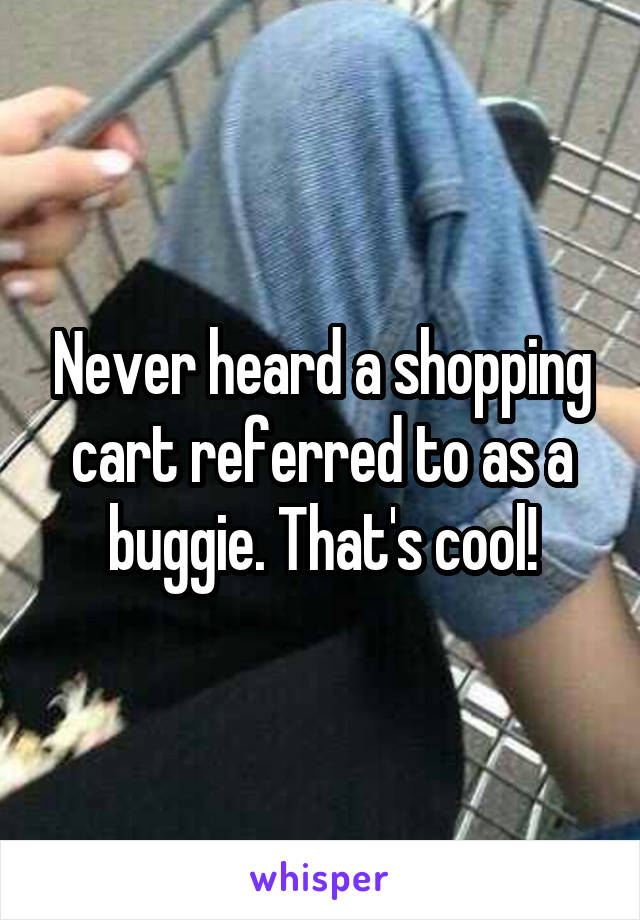 Never heard a shopping cart referred to as a buggie. That's cool!